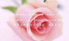 用五个单词表达的浪漫情感