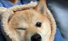 分享有趣、可爱的朋友圈文案，让你在好友中独树一帜！