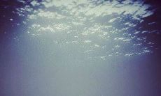 在结婚后面临不幸、痛苦甚至失败的情况，心灵深处不可避免的产生了失望之情的句子