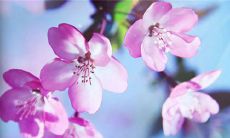 五一劳动节，让我们分享劳动故事的说说大全