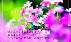 一个鼓励他人战胜生活中各种困难和挫折的深刻座右铭推荐