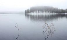 创意小组命名和口号大全：从中选出一个最适合您的团队名称和口号！