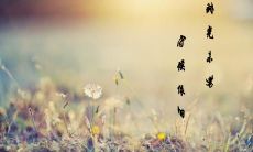 如果时光未老，那么我们能够享受永恒的繁花似锦，抚摸那逝去岁月的温度的优美句子