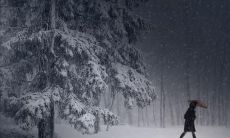 描写女性内心剧痛和悲伤的短语，表达心痛的感受