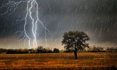 一些细致入微的句子，将逐字逐句地描写雷雨的声音、气氛和景致