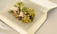 欢愉感叹之语：唤起心底最深刻的喜悦情感