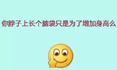 使用不带污言秽语的方式斥责他人的表达方式