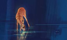 感受到上班销售失望的深刻心情句子，激发人们的情感共鸣！