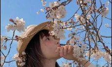 用欢乐的语言表达情感，分享开心心情的50个句子