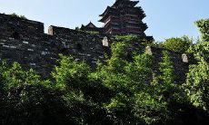 给老年大学的老师发送问候短信的简单而温馨的方式