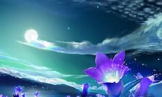 五彩缤纷、缤纷绚烂的月亮：月球的优美词藻