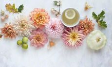 迎接美好的一天：简单温暖的早安句子分享！