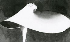 在婚姻中备受失望，我深深感受到了我的丈夫不能满足我的期望和需求