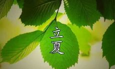 在立夏这一节气中地感怀古人，我们不妨来阅读一些灵感之源——立夏节气诗词