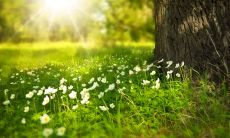 充满激情的青年节——分享一些让人心情愉悦的青春时光句子