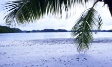 以愉悦而喜悦的情绪之笔，撰写令人心旷神怡的文句