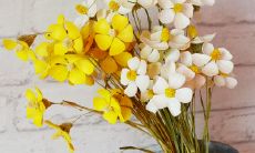 令人感动的珍爱和关爱亲人的句子，让我们更懂得珍惜亲情的重要性