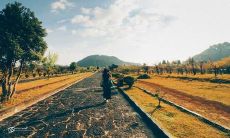 一些让我对老公产生失望的话语和表现探究