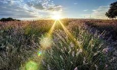 班组口号：不断进取、奋发向上的积极氛围营造策略