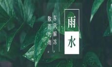 短语改写：一份集锦，包括了多种祝福语，在雨水节气的时候送出