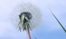 提高病人精神状态的重症病人问候短信：让病人感受到关爱和支持的有效沟通方式