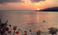 大班运动会的口号应该押韵，增加其吸引力和记忆性