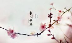 献给挚友的2022新年祝福语短信，愿你拥有美好的新年和幸福的未来！