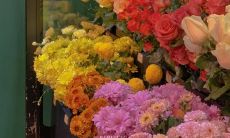 春季平淡但幸福的签到活动：分享你的春天体验！