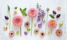 50个唯美句子，欢迎迎接清新春天的访问