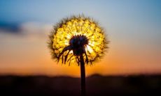 深度思索人生的哲学名言：探索生命中的智慧与启示