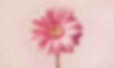 探索人生意义与旅程：一个充满哲思和感悟的句子集锦