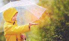 夏季酷热之际，52句与季节相伴的朋友圈语句，让你诉说心情