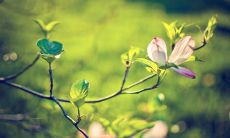 让我们共度新年假期的美好时光——开心的句子分享