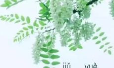 在九月里，希望待我更好：一则自言自语，回首八月，再次与新月互致问候