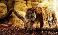 九月，我期待你的美好，请给我更多良好的留言吧！——回顾八月，展望未来的说说致自己