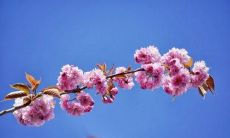 29句令人心旷神怡的九月朋友圈说说，用暖心语句让自己和别人更加快乐与幸福！