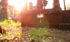 告别八月，憧憬九月：献上迎新好句！