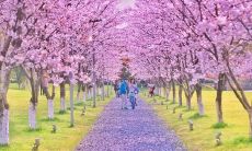 充满欢声笑语、愉悦无比的孩子们春游之旅：他们的开心回忆！