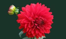 35句朋友圈说说，用于告别八月并迎接九月的新月份