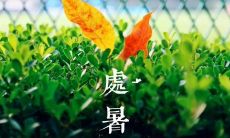 如何在处暑这个节气里发朋友圈，配上美丽的处暑图片，瞬间获取点赞和关注？
