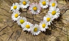 认识你后，我深刻体验到的幸福感和成长，让我非常感激，从此不再有任何后悔之情