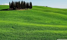 一个美丽又简明的英文句子表达亲情的温暖和美好情感