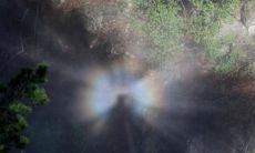 下雨的天气也能让你心情愉悦：分享几句让你感到开心的话！