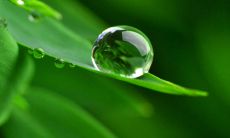 令人动容的言语，充满幸福之感