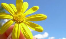 无与伦比的温柔浪漫句子，让你感受到深深的情感拥抱