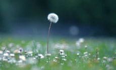 家庭的智慧：关于家庭的名言、警句和格言，让你掌握更为深刻的家庭主题知识！