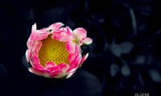 一些有用的做事名言警句 - 激励你取得成功的终极指南！