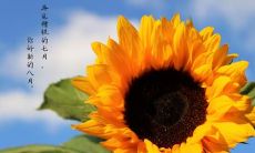 八月份引领朋友圈热潮的不容错过的经典说说