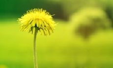 数十种适合早晨发送的问候语短信，涵盖各种主题和情感，让你轻松表达心意，传递温暖