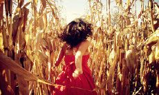 令人感到沉痛的爱情致辞：伤感动人的言辞与痛苦的爱情故事